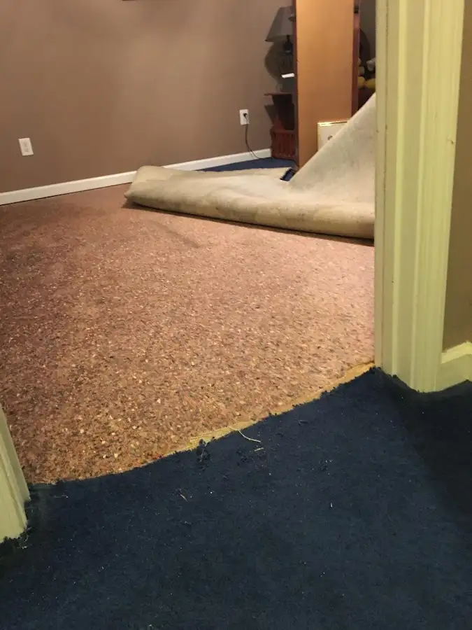 Carpet pad removal revealing water damage during Drying & Dehumidification in Pinecrest