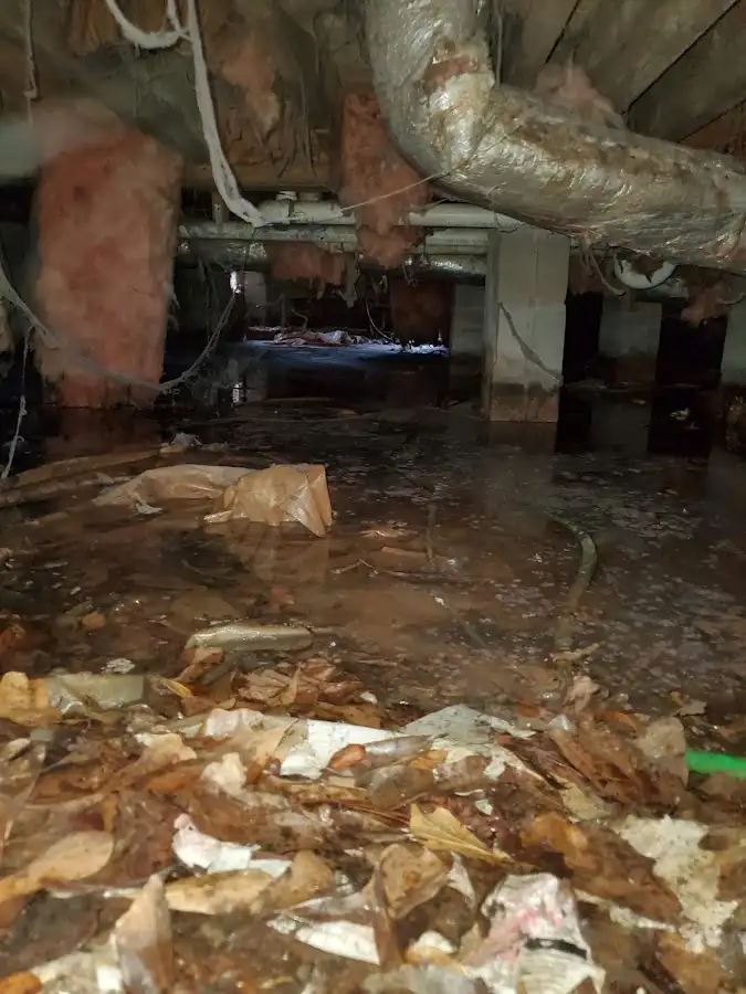 Crawl space flood assessment for Commercial Water Damage Restoration in Pinecrest